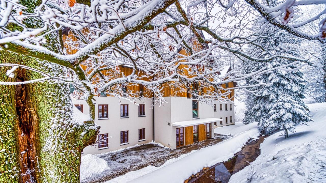 Apartament D19 Z Basenem, Sauna, Jacuzzi Green Park Resort - 5D Apartments Szklarska Poreba Extérieur photo